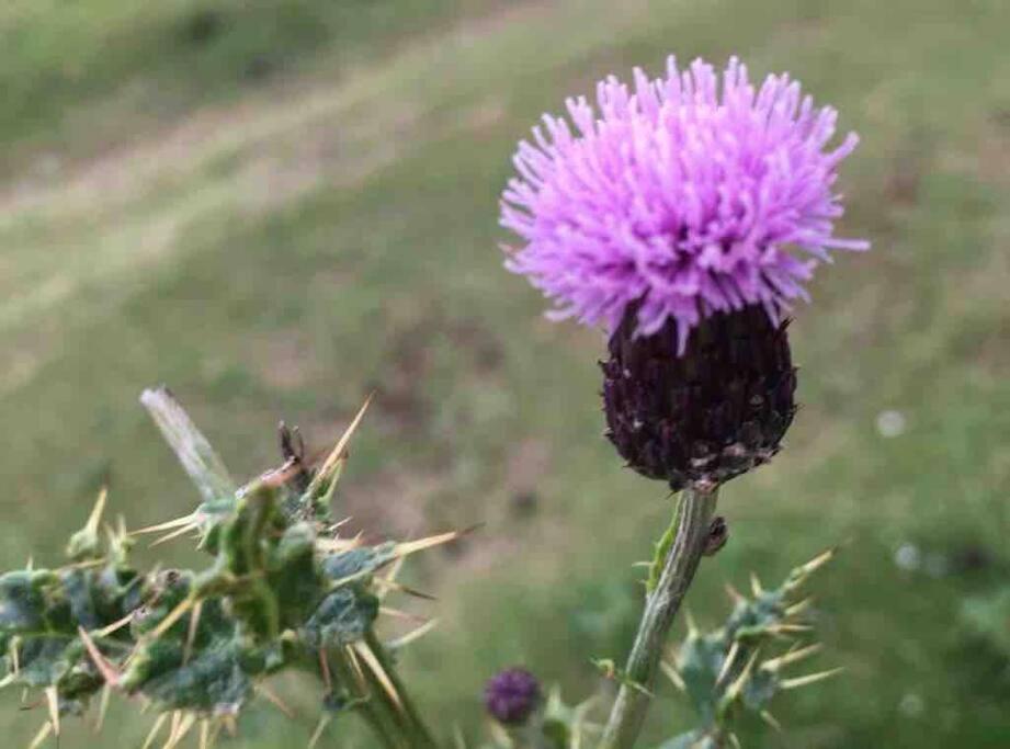 Cragside Holiday home *